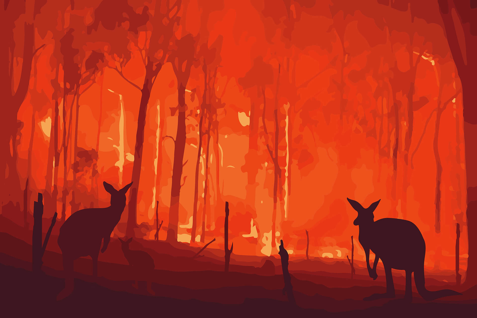 How Wildfires Affect the Environment